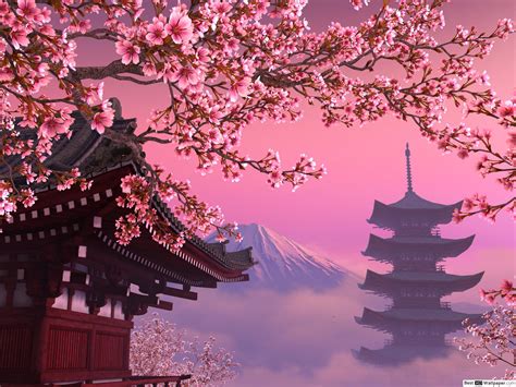 Cartoon Cherry Blossom Wallpapers Top Free Cartoon Cherry Blossom