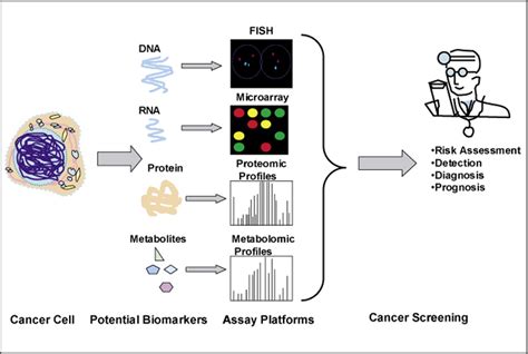 Biomarkers In Molecular Medicine Cancer Detection And Diagnosis