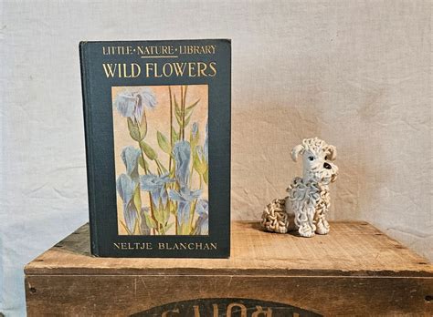 Wild Flowers Worth Knowing Little Nature Library Written Etsy