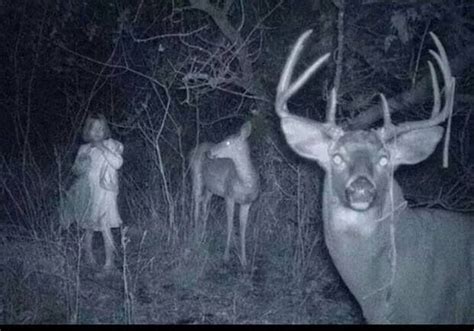 Real Or Fake Hunters Trail Cam Captures Bizarre Image But We Solved