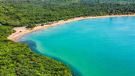 An Aerial View Of A Beach Surrounded By Trees Photo Free Loíza Image