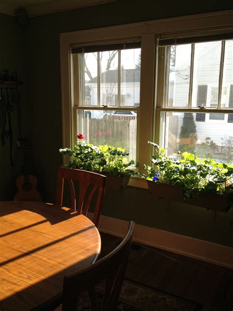 Indoor Window Planter Box Plant Ideas