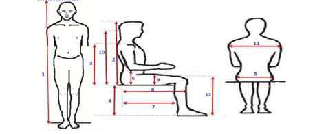 Anthropometric Data Required In Classroom Furniture Design Stature