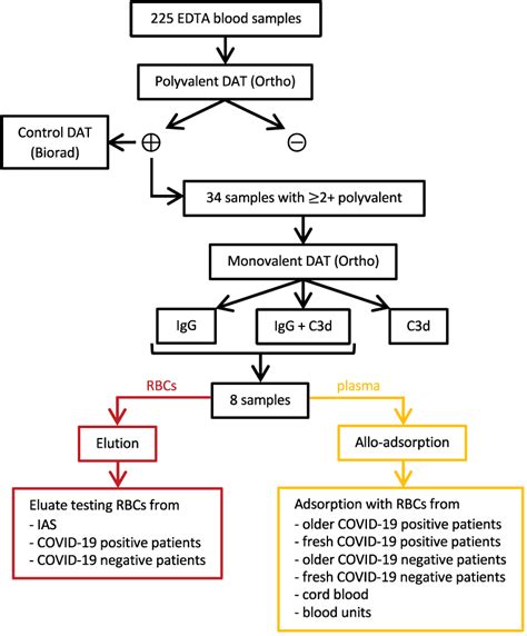 Autoimmune Hemolytic Anemia In Covid 19 Patients The Transmissible