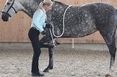 Einfache Tricks Pferd beibringen? (Freiarbeit)