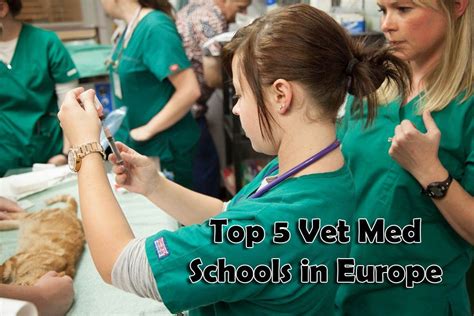 Top 5 Vet Med Schools In Europe I Love Veterinary Vet Med Med