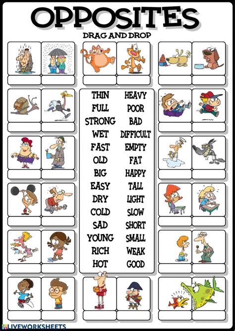 Opposite Words Worksheetsenglish Opposites Worksheet Printable Hot