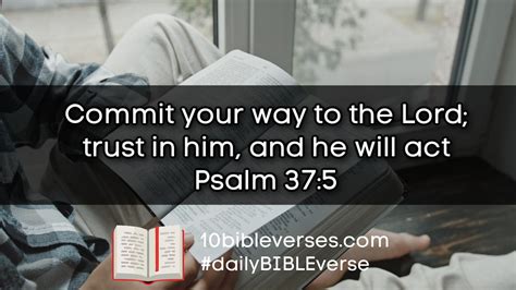 Bible Verses About Trust Daily Scripture Quotes And Biblical Passages