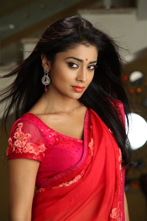 Shriya Saran South Indian Beautiful Actress Hd Wallpaper Hd
