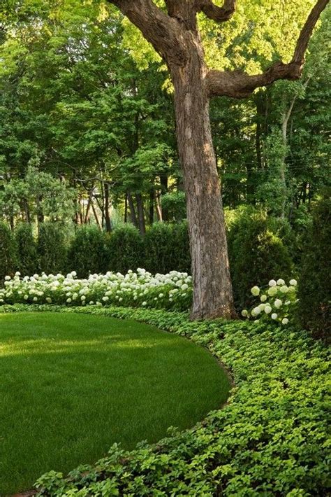 74 best landscape fence lines & flowerbeds ideas images on, stunning privacy fence line stunning privacy fence line landscaping ideas 47 rockindeco, amazing designer landscapes #4 fence line. Stunning Privacy Fence Line Landscaping Ideas 70 ...