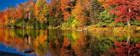 How To Get The Best Views Of The Poconos Fall Foliage