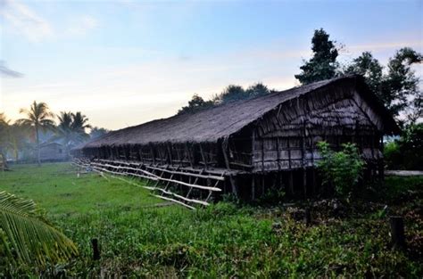 Rumah Adat Papua Selatan Rumah Jew Olshopwidia