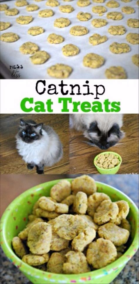 But not if it's temptations. DIY Pet Recipes for Cats and Dogs