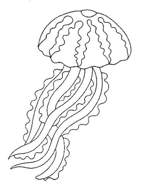 Sea urchins move slowly, crawling with their tube feet, and sometimes pushing themselves with their spines. Sea Urchin Coloring Page at GetColorings.com | Free ...