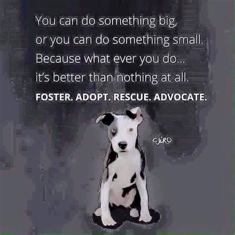 Pin By Becca On My Heart Rescue Quotes Animal Quotes Foster Dog