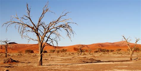 Ultimate Guide To The Lonely Kalahari Desert South Africa