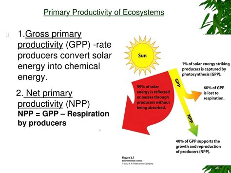 Ppt Ch 3 What Is Ecology Powerpoint Presentation Free Download