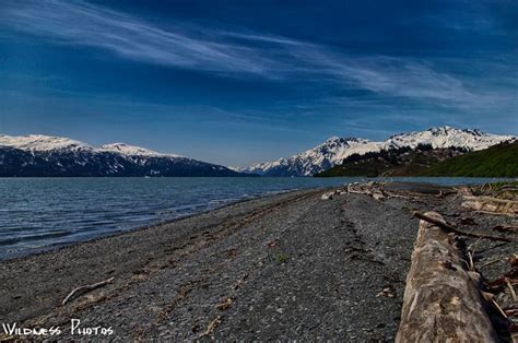 It lies east of the kenai peninsula and spans about 90 to 100 miles (145 to 160 km). Prince Williams Sound Alaska 2 | Natural landmarks, Alaska ...