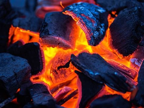 ¿qué Es El Carbón Vegetal Y Para Qué Sirve Blog De Carbones Reinares
