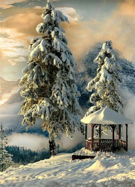 Pin By Biljana Milovanovic On Christmas For Moms Winter Scenery