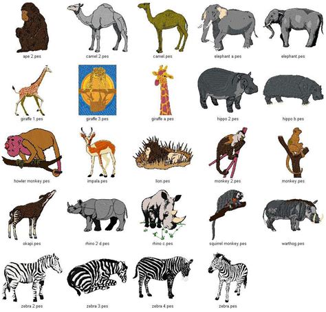 It has been listed as vulnerable by the iucn due to the substantial. pictures of african animals |Zoo Animals