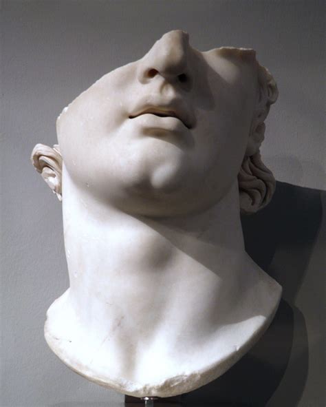Hellenistic Colossal Head Of A Youth Illustration World History