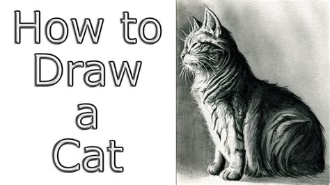 Your witch drawing is complete! How To Draw a Cat - YouTube