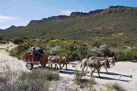 Walks In The Central Cederberg Our Recommendations