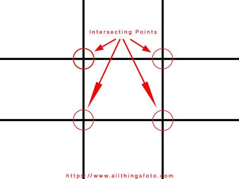 A Guide To Using The Rule Of Thirds For Better Photography