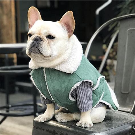 For example, do french bulldogs shed like pugs? Faux Suede Dog Vest | French bulldogs | French bulldog ...