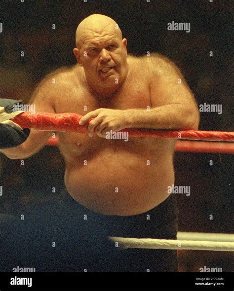 George The Animal Steele 1996 Photo By John Barrettphotolink Stock