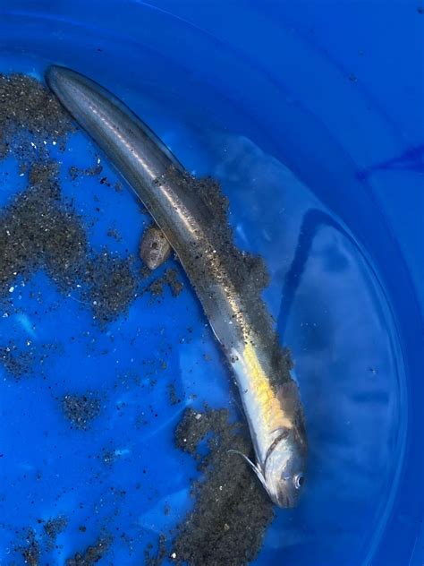 71 best Fairfield County images on Pholder | Connecticut, Room Porn and