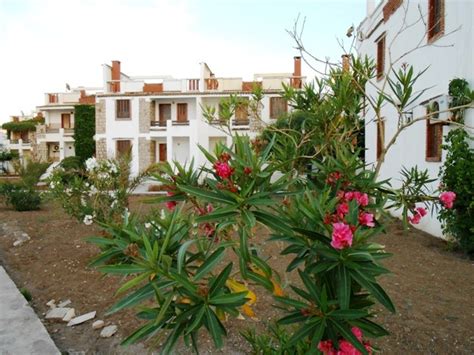 Mayor, geographical coordinates, number of inhabitants, altitude, area, weather and hotel. Vend Duplex Pied Dans L'eau, Capritour, Tichy, Béjaia.