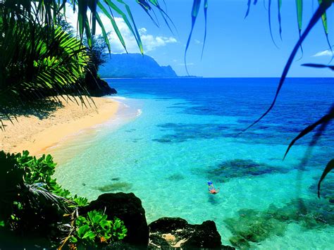 🔥 46 Free Wallpaper Hawaii Beaches Wallpapersafari