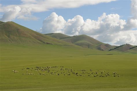 Free Photo Mongolia Landscape Wide Steppe Free Image On Pixabay