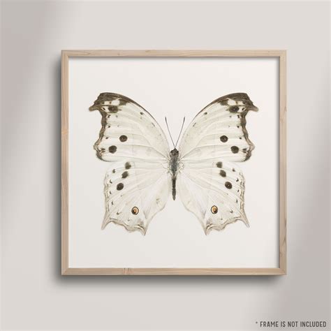 Butterfly Print Wall Art Nature Photography Neutral White Etsy