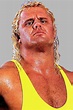 Curt Hennig Personality Type | Personality at Work