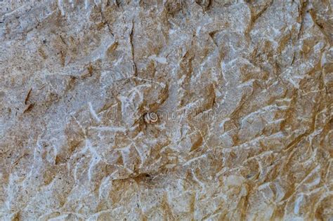 Rough Surface Of Natural Stone Textured Background Blank For Design