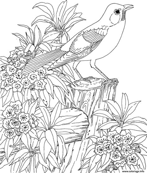 Coloriage Nature Paysage Fleurs Oiseau Dessin Nature à Imprimer
