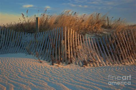 Beach Dunes Photograph By Amazing Jules Fine Art America