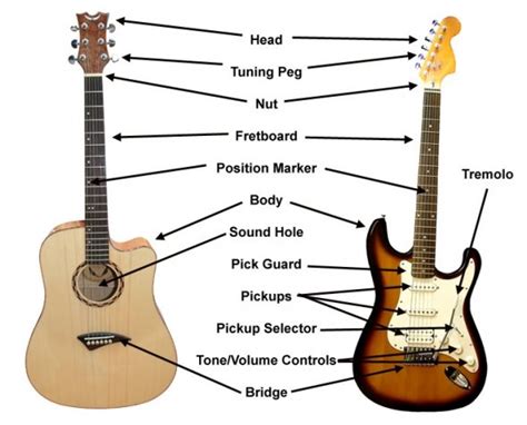 How To Play Guitar The First 10 Things Beginner Guitar Players Should