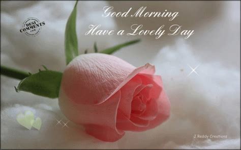 Good Morning Have A Lovely Day