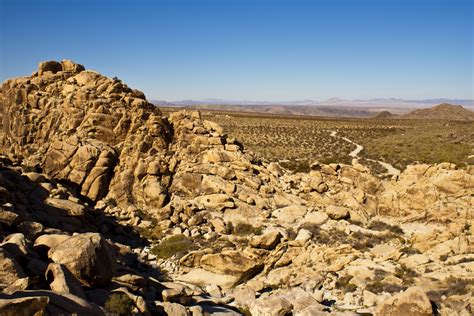 Spare Parts And Pics Rattlesnake Canyon Joshua Tree National Park