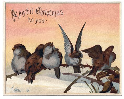 Vintage Christmas Graphic Image Cute Birds On Branch
