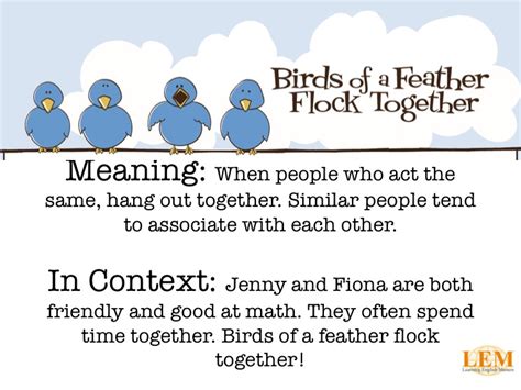 Birds Of A Feather Flock Together Learning English Matters