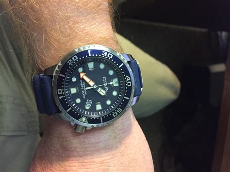 Citizen Promaster Professional Diver Updated Wrist Wear Watches