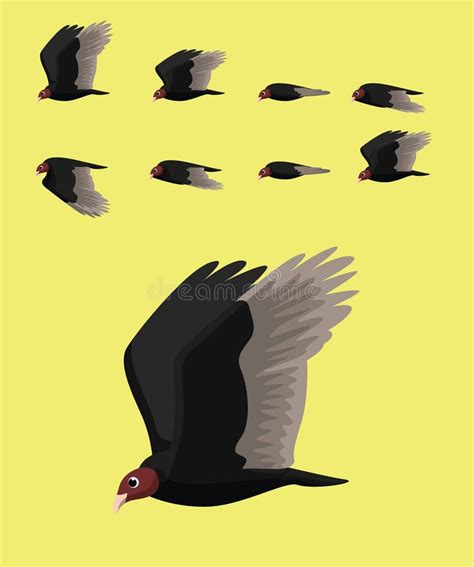 Turkey Vulture Cartoon Stock Illustrations 81 Turkey Vulture Cartoon