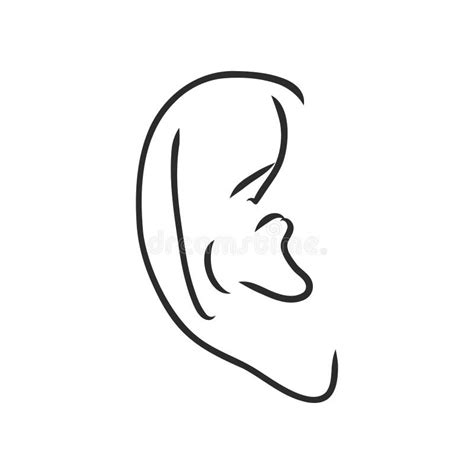 Drawing Human Ear Ear Vector Sketch On A White Background Stock Vector