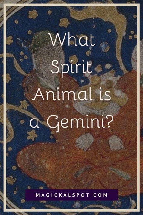 What Spirit Animal Is A Gemini Zodiac Spirit Animals Series