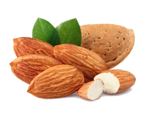 Almond Png Transparent Images Png All